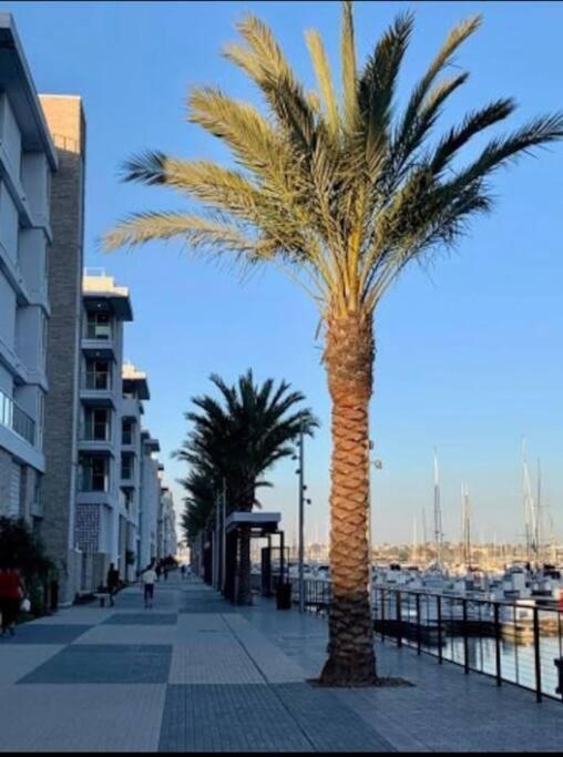 Marina Appartement With Beach View Los Angeles Exterior foto